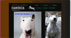 Desktop Screenshot of cambriambts.com