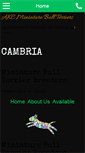 Mobile Screenshot of cambriambts.com
