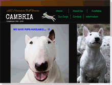Tablet Screenshot of cambriambts.com